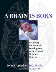 A Brain Is Born