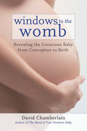 Windows to the Womb by David Chamberlain