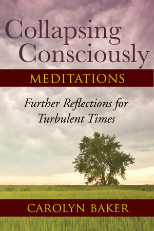 Collapsing Consciously Meditations by Carolyn Baker, Ph.D.