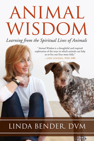 Animal Wisdom by Linda Bender