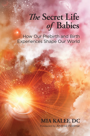 The Secret Life of Babies by Mia Kalef, DC