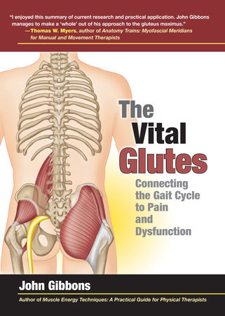 The Vital Glutes by John Gibbons