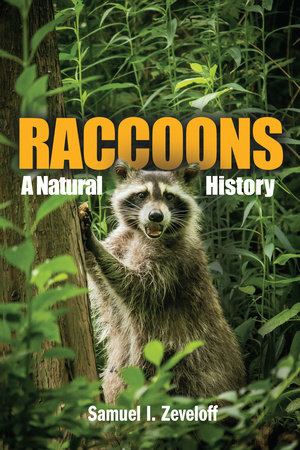 Raccoons by Samuel I. Zeveloff