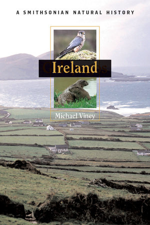 Ireland by Michael Viney