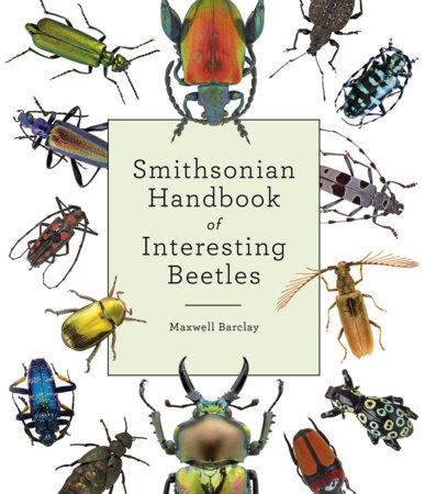 Smithsonian Handbook of Interesting Beetles by Maxwell Barclay