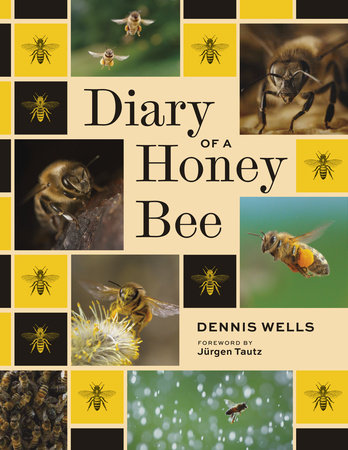 Diary of a Honey Bee by Dennis Wells