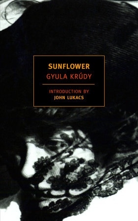 Sunflower by Gyula Krudy