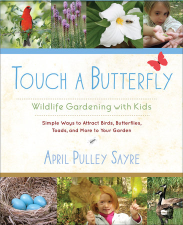 Touch a Butterfly by April Pulley Sayre