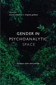 Gender in Psychoanalytic Space