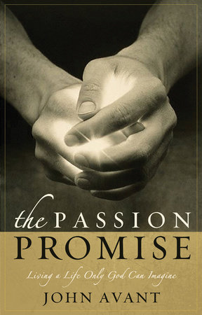 The Passion Promise by John Avant