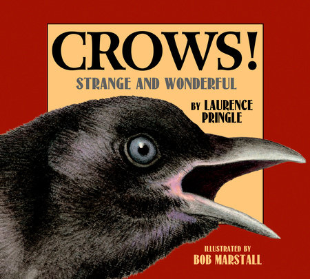 Crows! by Laurence Pringle