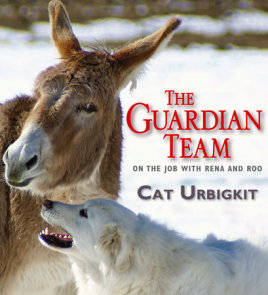 The Guardian Team