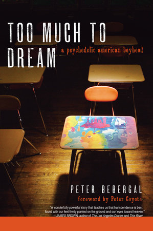 Too Much to Dream by Peter Bebergal