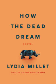 How the Dead Dream