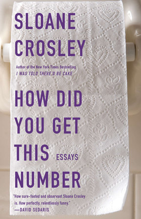 How Did You Get This Number by Sloane Crosley