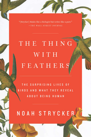 The Thing with Feathers by Noah Strycker