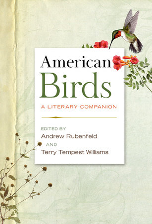 American Birds by 