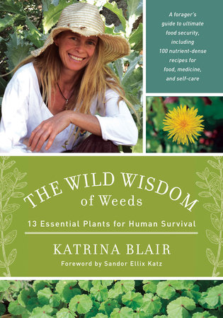 The Wild Wisdom of Weeds by Katrina Blair