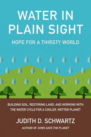 Water in Plain Sight by Judith D. Schwartz
