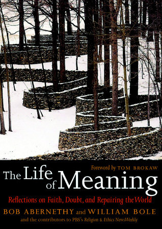 The Life of Meaning by 