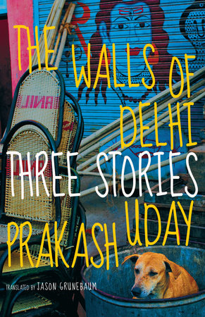 The Walls of Delhi by Uday Prakash