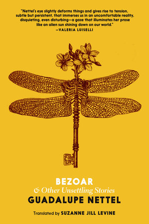 Bezoar Book Cover Picture