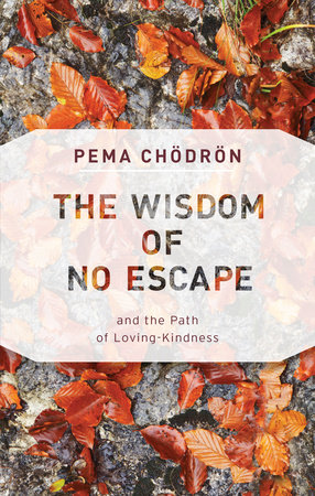 The Wisdom of No Escape by Pema Chödrön