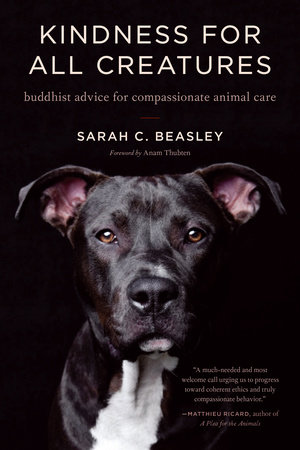 Kindness for All Creatures by Sarah C. Beasley