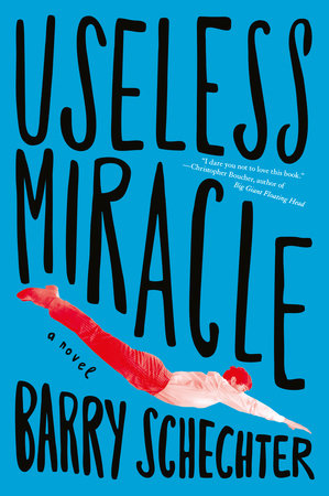 Useless Miracle by Barry Schechter