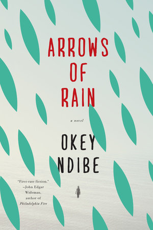 Arrows of Rain by Okey Ndibe