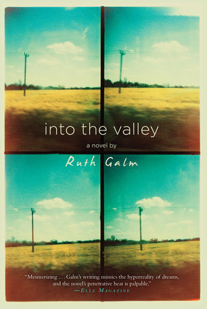 Into the Valley by Ruth Galm