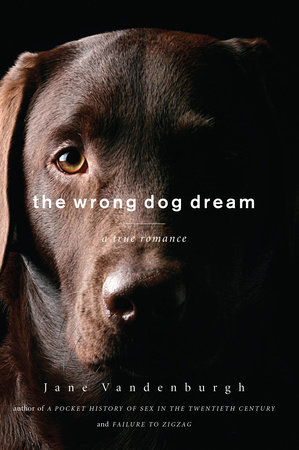 The Wrong Dog Dream by Jane Vandenburgh