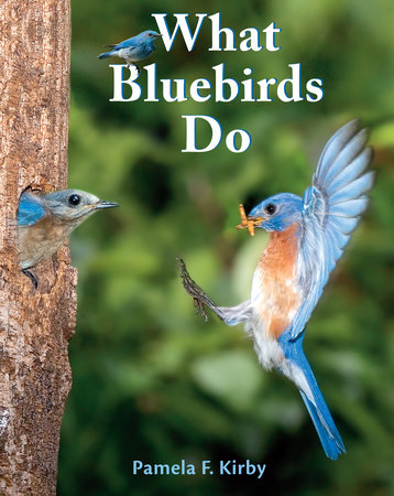 What Bluebirds Do by Pamela F. Kirby