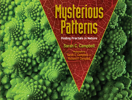 Mysterious Patterns by Sarah C. Campbell