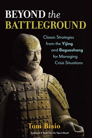 Beyond the Battleground by Tom Bisio