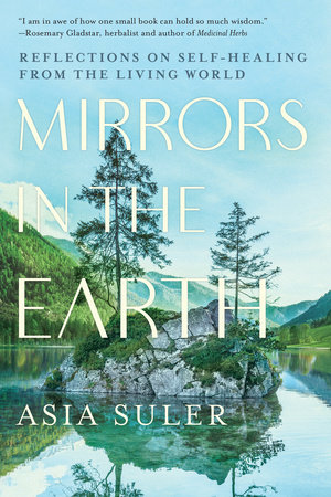 Mirrors in the Earth by Asia Suler