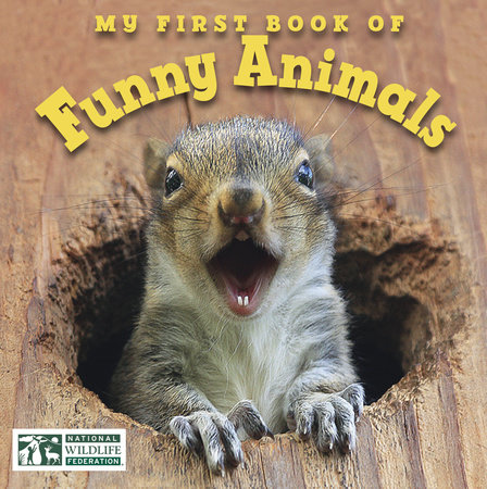 My First Book of Funny Animals (National Wildlife Federation) by National Wildlife Federation