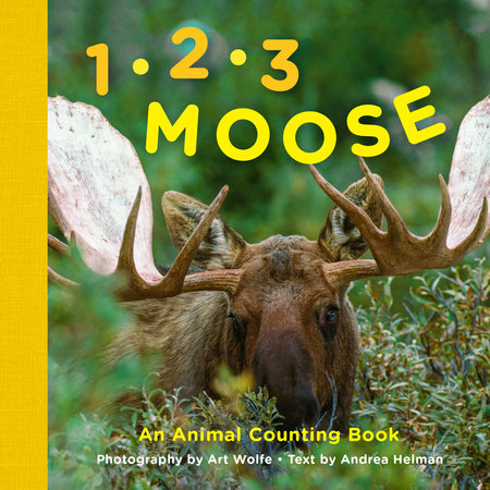 1, 2, 3 Moose by Andrea Helman