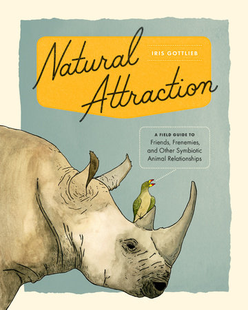 Natural Attraction by Iris Gottlieb