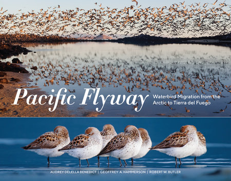 Pacific Flyway by Audrey DeLella Benedict, Geoffrey A. Hammerson and Robert W. Butler