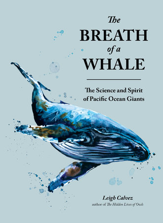 The Breath of a Whale by Leigh Calvez