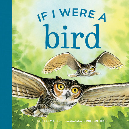 If I Were a Bird by Shelley Gill; Illustrated by Erik Brooks