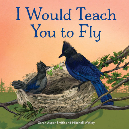 I Would Teach You to Fly by Sarah Asper-Smith