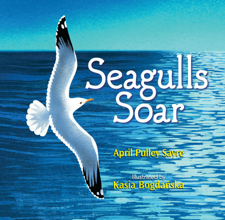 Seagulls Soar by April Pulley Sayre