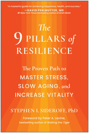 The 9 Pillars of Resilience by Stephen I. Sideroff, PhD