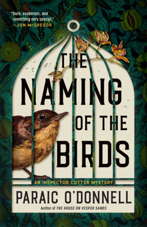 The Naming of the Birds by Paraic O'Donnell