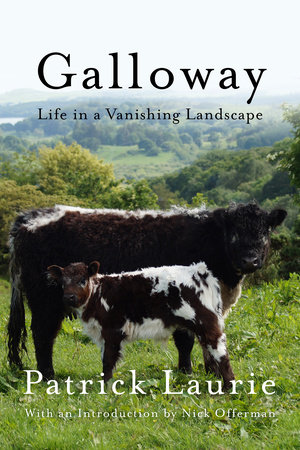Galloway by Patrick Laurie