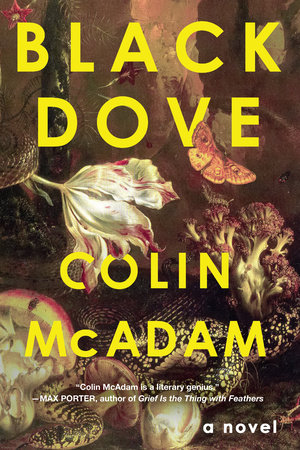 Black Dove by Colin McAdam