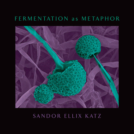 Fermentation as Metaphor by Sandor Ellix Katz