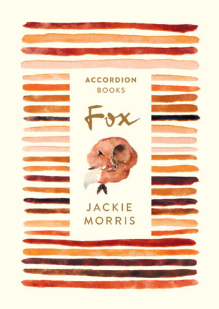 Fox by Jackie Morris